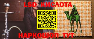 шишки Нарткала