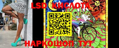 шишки Нарткала