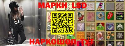 шишки Нарткала
