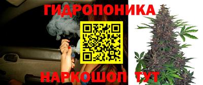 таблы Новодвинск