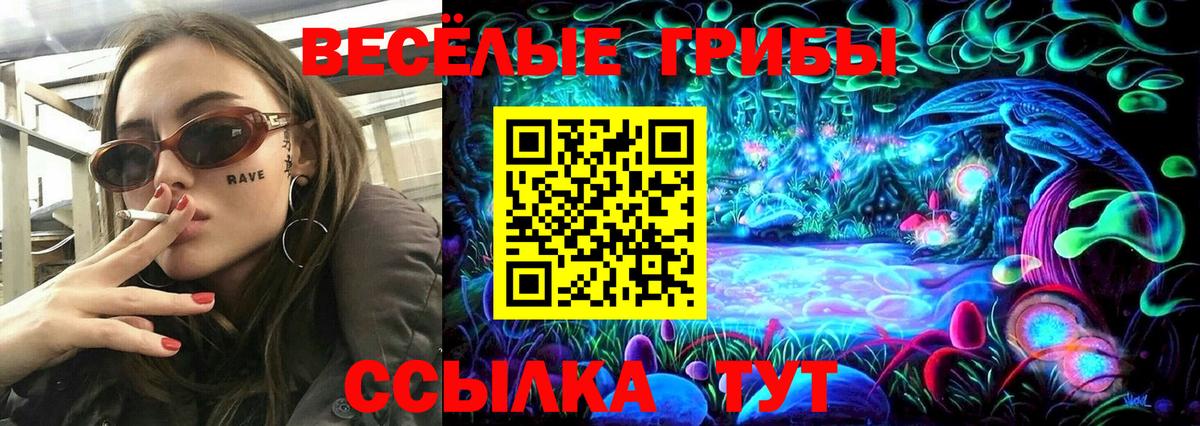 Галлюциногенные грибы Psilocybe  Вход с VPN  Тамбов 