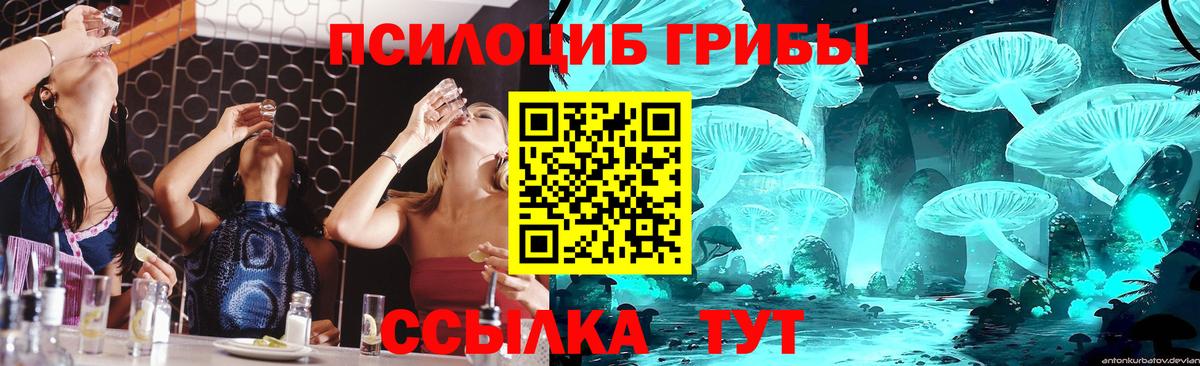 Псилоцибиновые грибы мицелий Тамбов